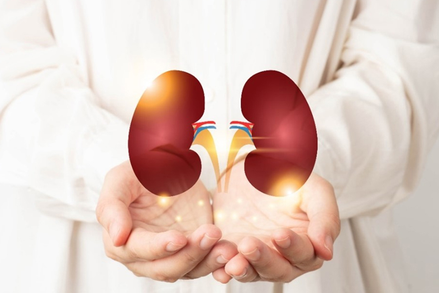 Kidney Transplant Home Care Services